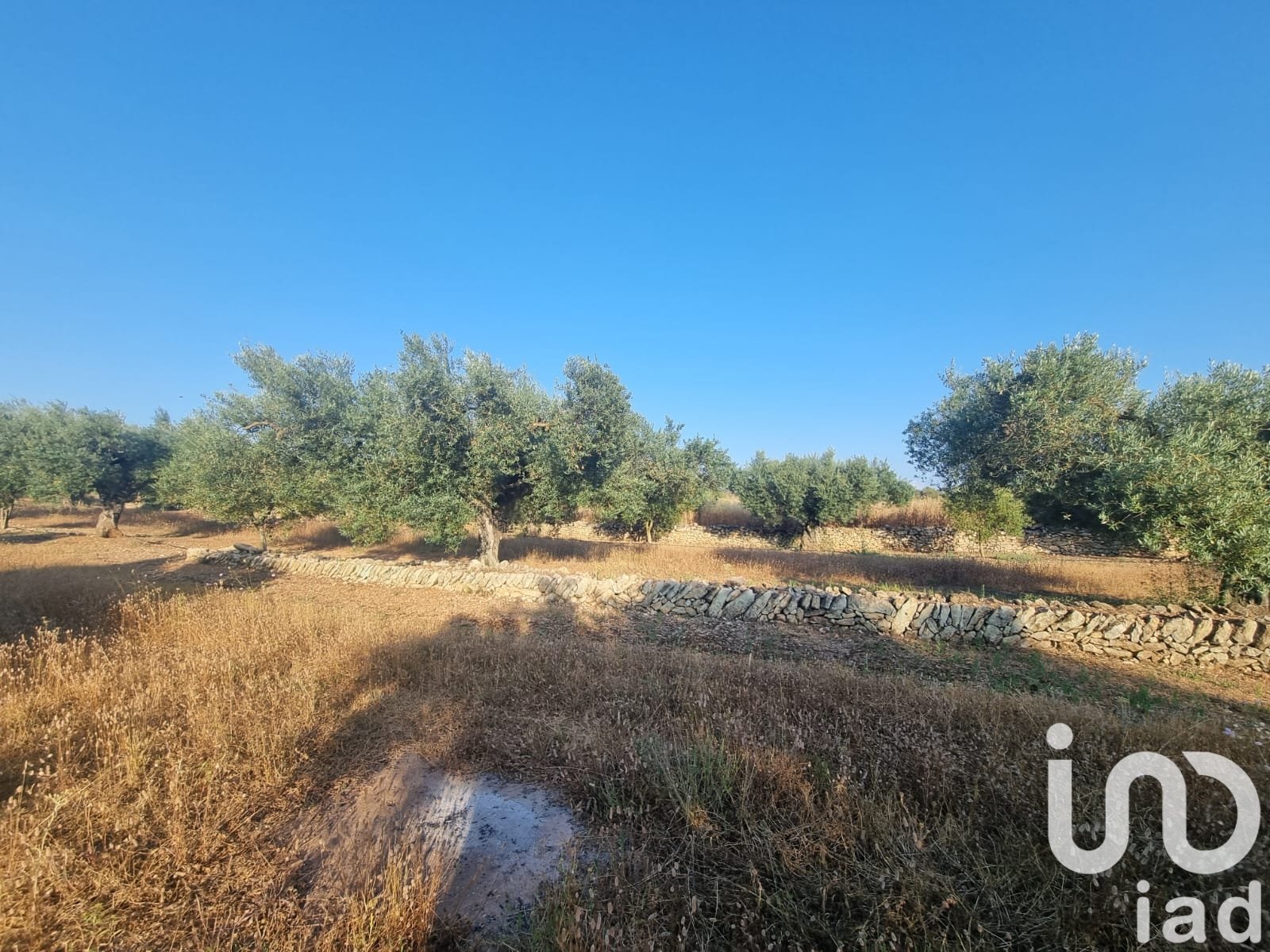 Land plot à Ginestar, Tarragona, Espagne 6093 m2 No. 185815