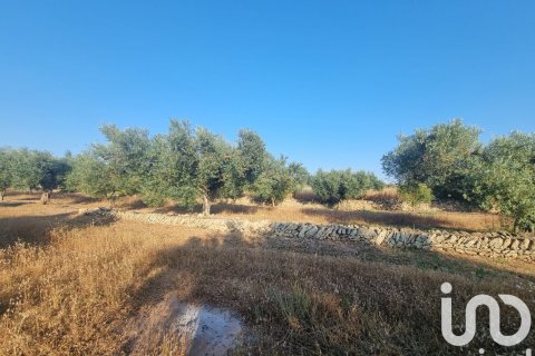 Parcela en venta en Ginestar, Tarragona, España 6093 m2 No. 185815 - foto 12