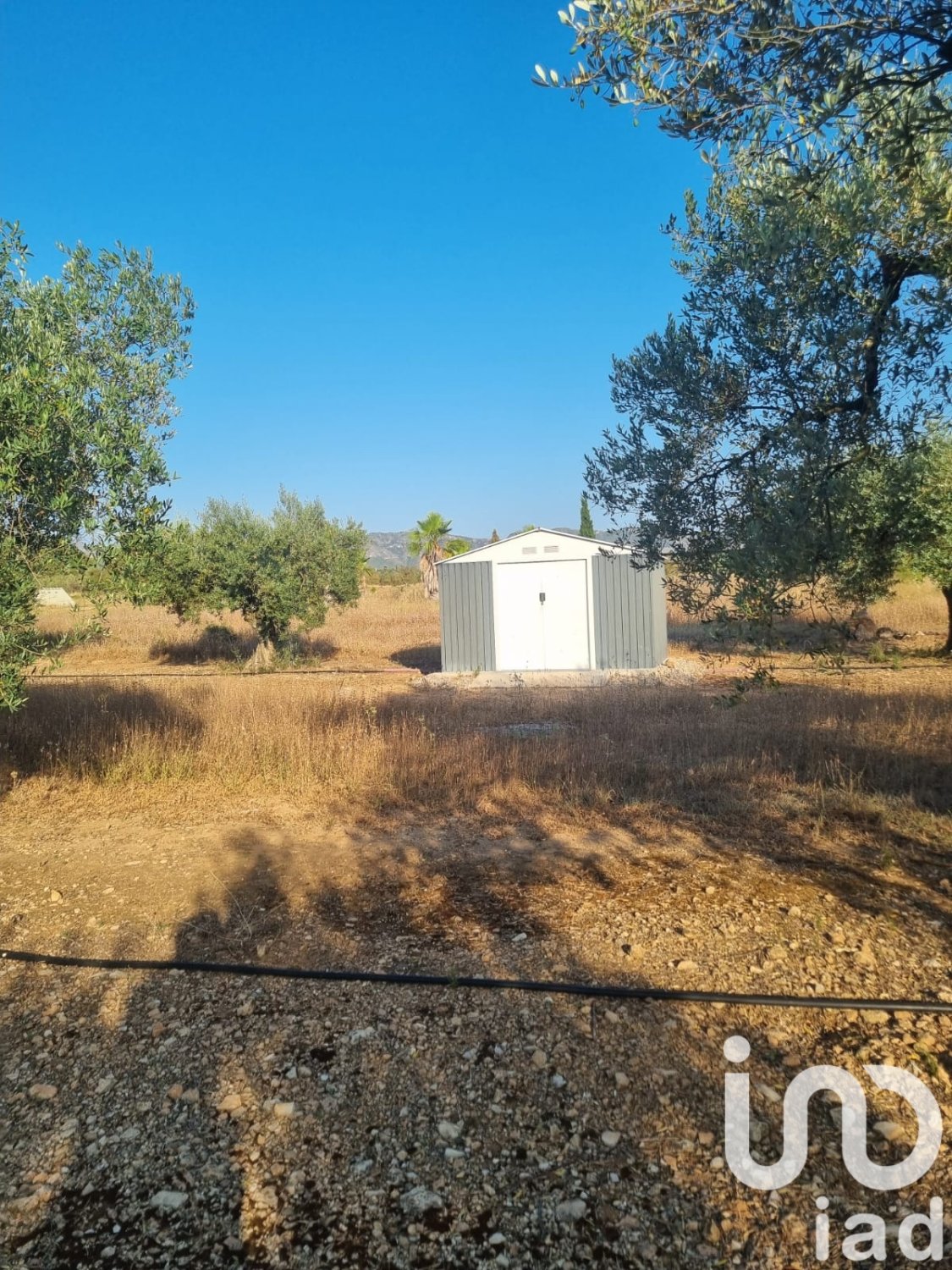 Land plot à Ginestar, Tarragona, Espagne 6093 m2 No. 185815