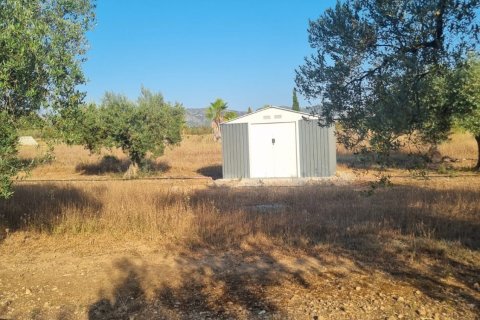 Parcela en venta en Ginestar, Tarragona, España 6093 m2 No. 185815 - foto 20