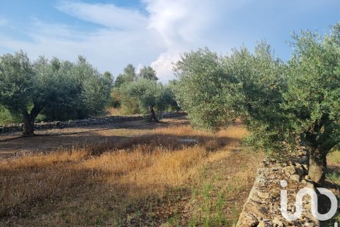 Parcela en venta en Ginestar, Tarragona, España 6093 m2 No. 185815 - foto 3