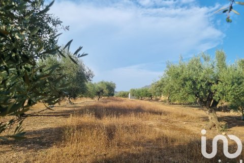 Parcela en venta en Ginestar, Tarragona, España 6093 m2 No. 185815 - foto 7