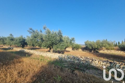 Parcela en venta en Ginestar, Tarragona, España 6093 m2 No. 185815 - foto 14