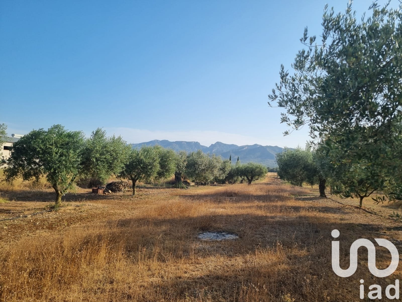 Land plot à Ginestar, Tarragona, Espagne 6093 m2 No. 185815