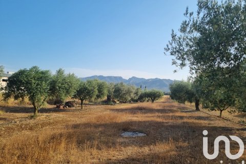 Parcela en venta en Ginestar, Tarragona, España 6093 m2 No. 185815 - foto 5