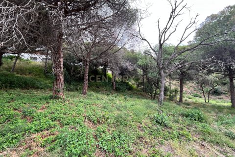 Działka w Mataro, Barcelona, Hiszpania nr 173980 – zdjęcie 13