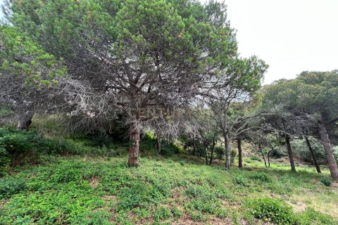 Działka w Mataro, Barcelona, Hiszpania nr 173980 – zdjęcie 12