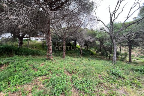 Działka w Mataro, Barcelona, Hiszpania nr 173980 – zdjęcie 16