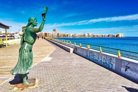 Apartament Torrevieja, Alicante, Hiszpania 3 sypialnie, 98 mkw. nr 134343 – zdjęcie 18