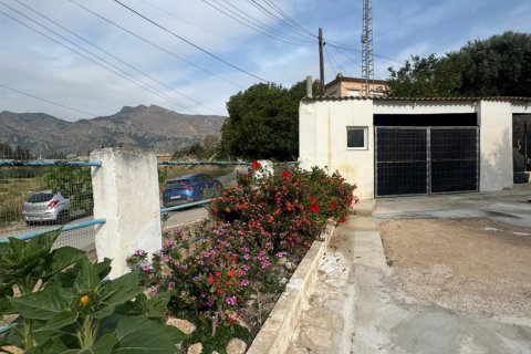 Продажа таухауса в Ориуэла, Аликанте, Испания 8 спален, 350м2 №189238 - фото 15