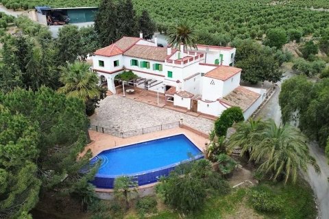 Commercial property in Murcia, Spain 10 bedrooms, 750 sq.m. No. 168826