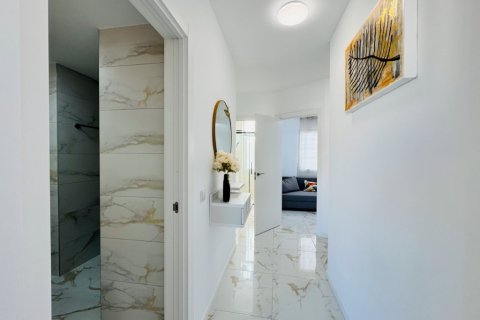 Apartment à vendre à La Mata, Alicante, Espagne, 3 chambres, 76 m2 No. 147628 - photo 5