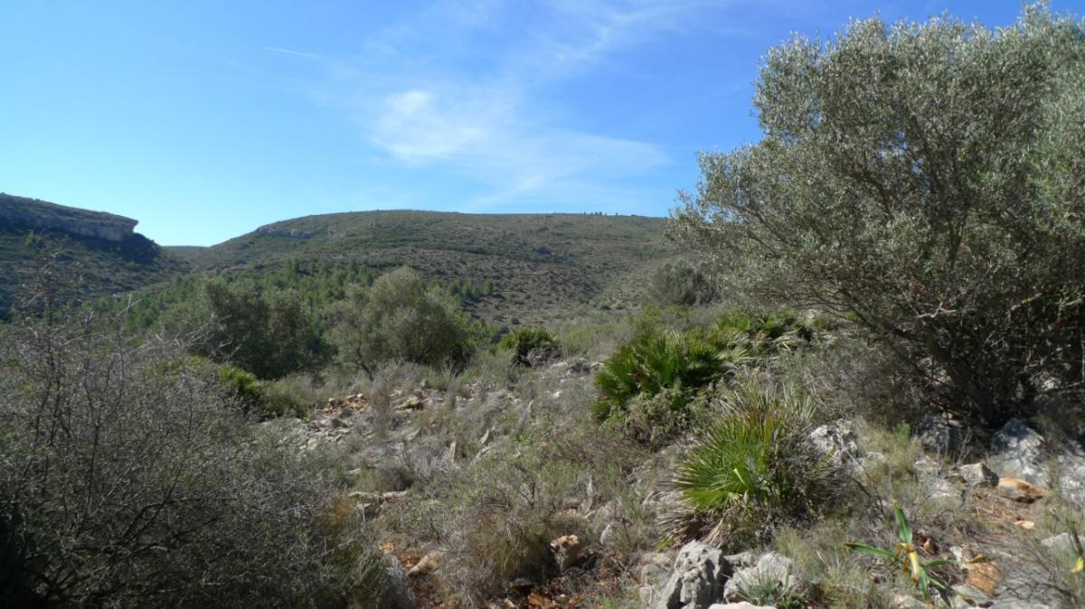 Parcela en Benigembla, Alicante, España No. 183875
