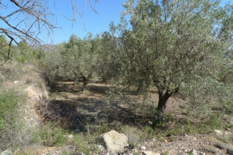 Land zum Verkauf in Benigembla, Alicante, Spanien Nr. 183875 - Foto 9