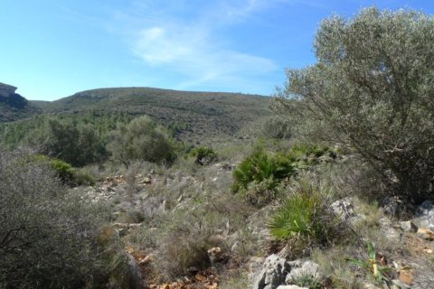 Terreno a Benigembla, Alicante, Spagna N° 183875