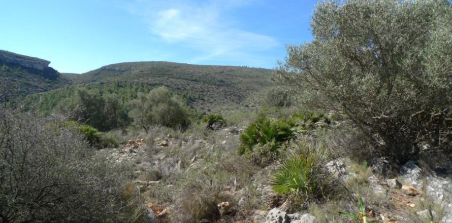 Land in Benigembla, Alicante, Spanien Nr. 183875