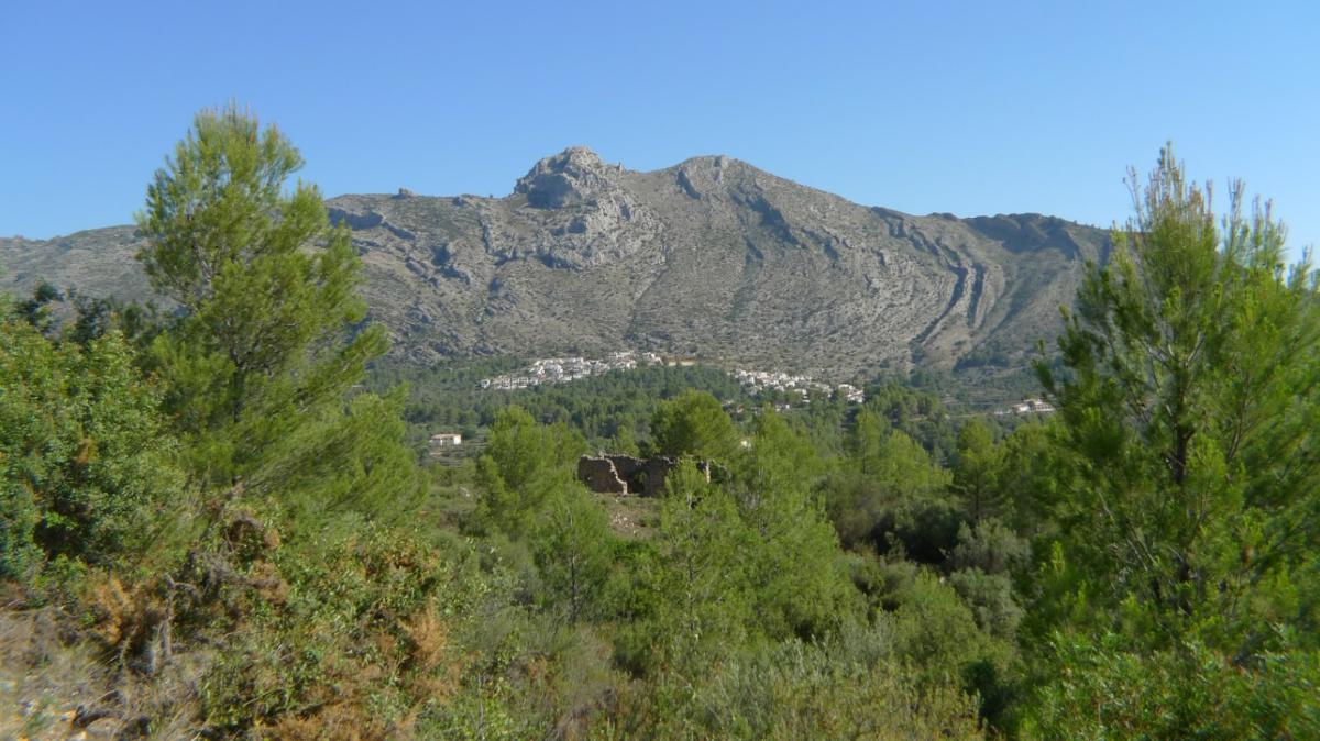 Parcela en Benigembla, Alicante, España No. 183875