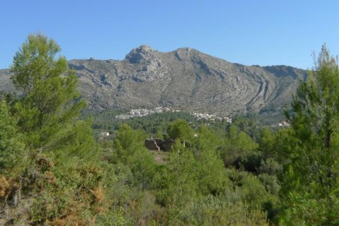 Land zum Verkauf in Benigembla, Alicante, Spanien Nr. 183875 - Foto 7