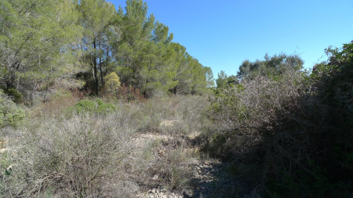 Parcela en Benigembla, Alicante, España No. 183875
