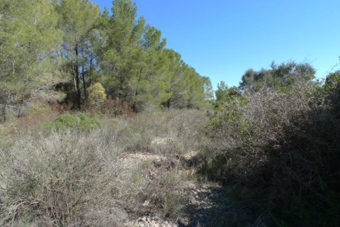 Land zum Verkauf in Benigembla, Alicante, Spanien Nr. 183875 - Foto 5