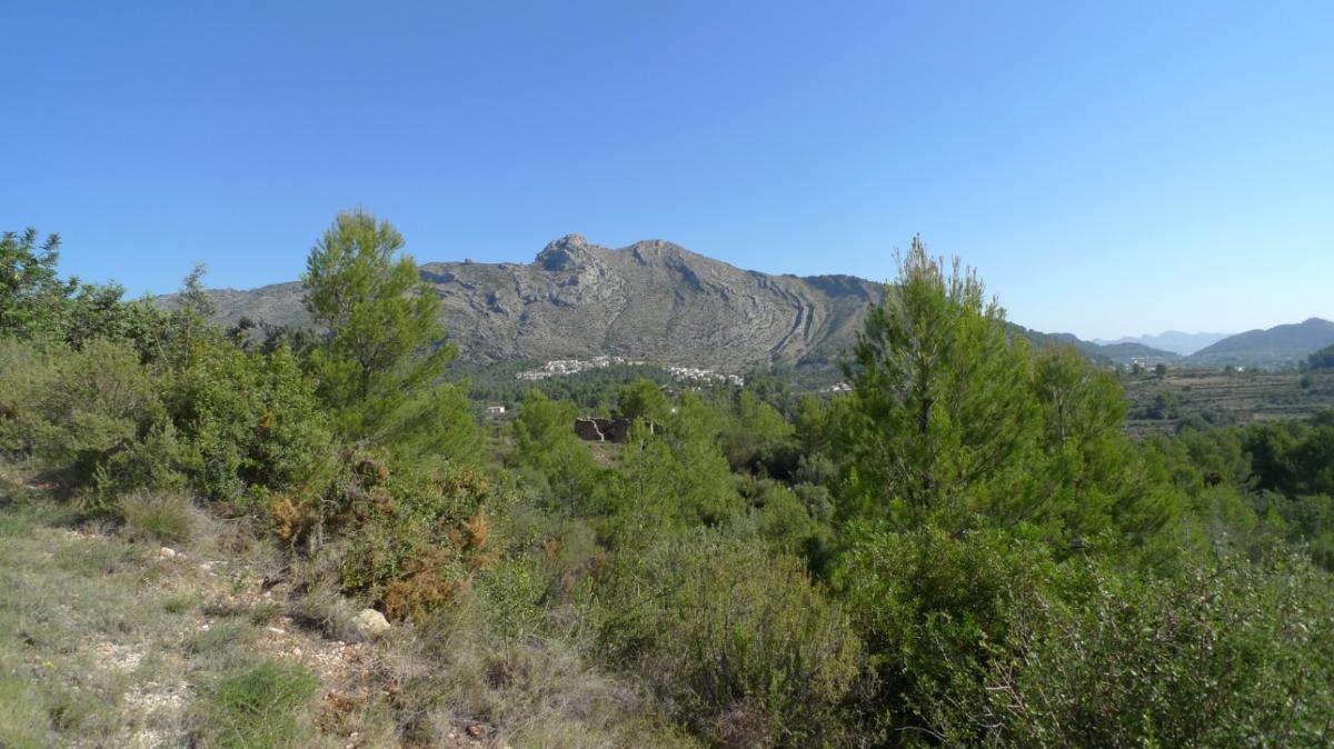 Parcela en Benigembla, Alicante, España No. 183875