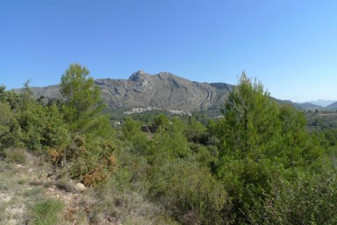 Land zum Verkauf in Benigembla, Alicante, Spanien Nr. 183875 - Foto 6