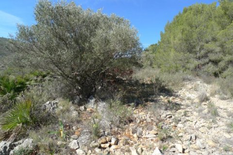 Land zum Verkauf in Benigembla, Alicante, Spanien Nr. 183875 - Foto 2
