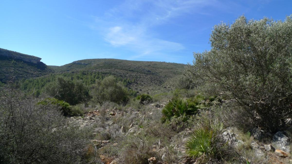 Parcela en Benigembla, Alicante, España No. 183875