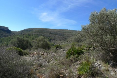 Land zum Verkauf in Benigembla, Alicante, Spanien Nr. 183875 - Foto 3