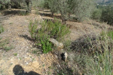 Land zum Verkauf in Benigembla, Alicante, Spanien Nr. 183875 - Foto 10