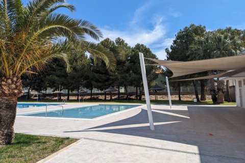 Appartamento in vendita a Algorfa, Alicante, Spagna 2 camere da letto, 63 mq. N° 183876 - foto 21