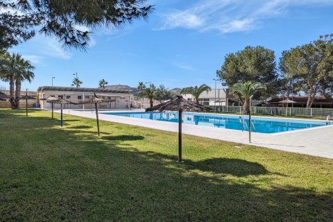 Appartamento in vendita a Algorfa, Alicante, Spagna 2 camere da letto, 63 mq. N° 183876 - foto 23