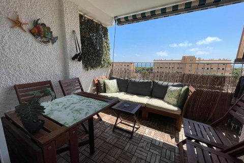 Apartment for sale in Guardamar del Segura, Alicante, Spain 2 bedrooms, 42 sq.m. No. 183877 - photo 17