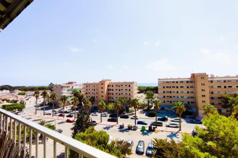 Apartment for sale in Guardamar del Segura, Alicante, Spain 2 bedrooms, 42 sq.m. No. 183877 - photo 22