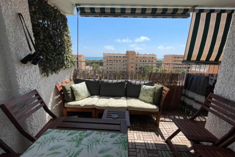 Apartment for sale in Guardamar del Segura, Alicante, Spain 2 bedrooms, 42 sq.m. No. 183877 - photo 19