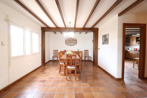 Apartment for sale Mil Palmeras, Alicante, Spain 4 bedrooms, 350 sq.m. No. 117042 - photo 5