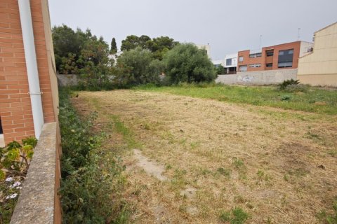 Terreno a Amposta, Tarragona, Spagna 157 mq. N° 184963