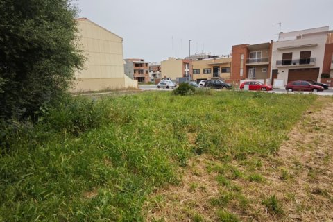 Terreno a Amposta, Tarragona, Spagna 154 mq. N° 184964