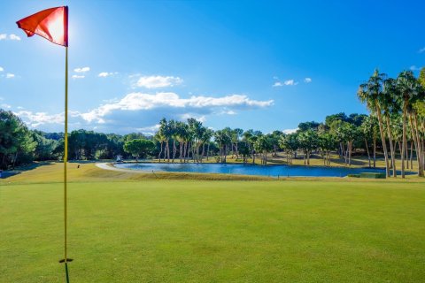 Appartamento in vendita a Las Ramblas, Alicante, Spagna 3 camere da letto, 97 mq. N° 146134 - foto 5