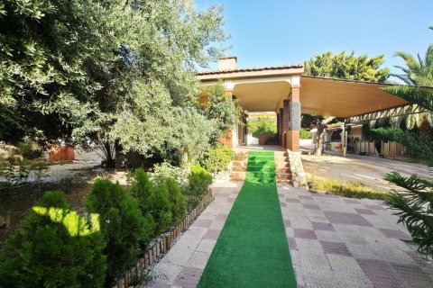 Apartment à vendre à Alicante, Espagne, 5 chambres, 233.4 m2 No. 165760 - photo 7