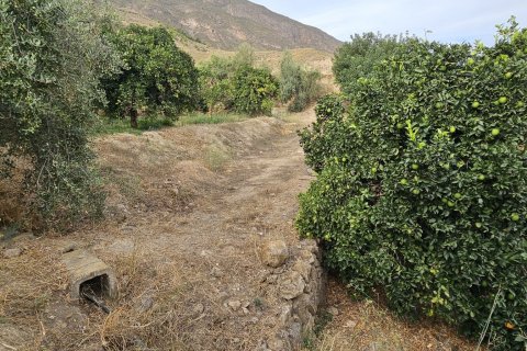 Commercial property for sale in Illar, Almeria, Spain No. 185671 - photo 11