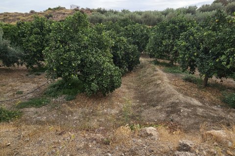 Commercial property for sale in Illar, Almeria, Spain No. 185671 - photo 16