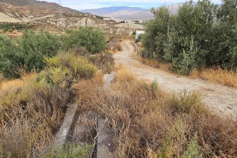 Commercial property for sale in Illar, Almeria, Spain No. 185671 - photo 5