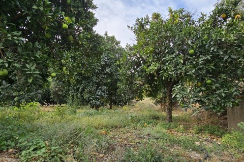 Commercial property for sale in Illar, Almeria, Spain No. 185671 - photo 3
