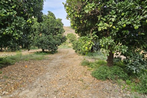 Commercial property for sale in Illar, Almeria, Spain No. 185671 - photo 19