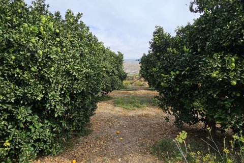 Commercial property for sale in Illar, Almeria, Spain No. 185671 - photo 23