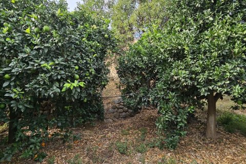 Commercial property for sale in Illar, Almeria, Spain No. 185671 - photo 24