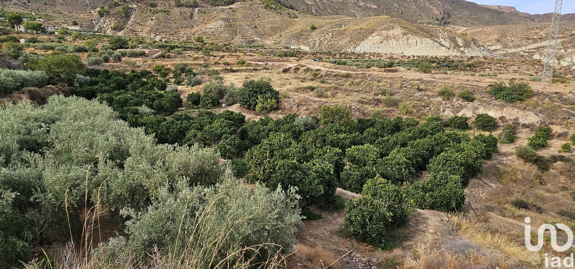 Propiedad comercial en Illar, Almería, España No. 185671