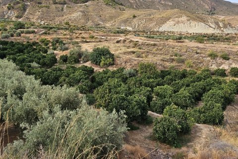 Commercial property for sale in Illar, Almeria, Spain No. 185671 - photo 27