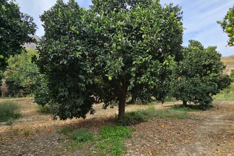 Commercial property for sale in Illar, Almeria, Spain No. 185671 - photo 20